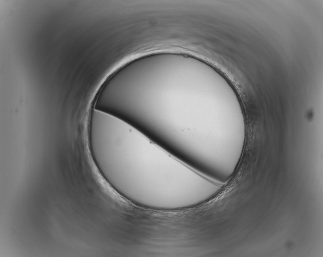 X0000097961526200803241030