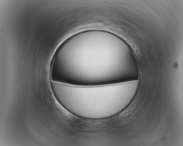 X0000097961527200803241030