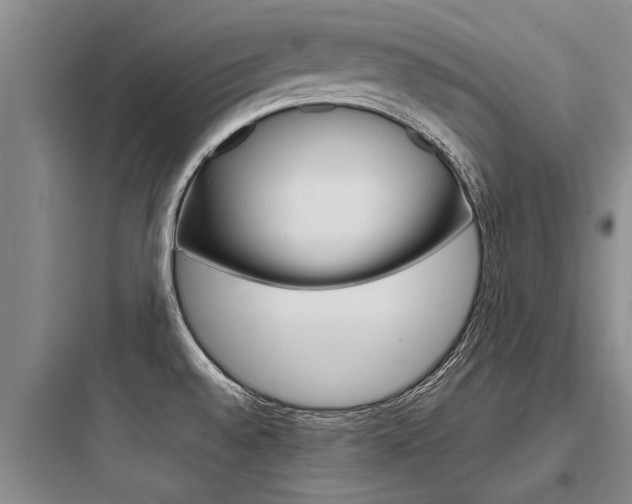 X0000097961528200803241030