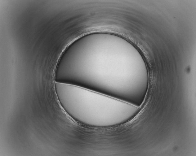 X0000097961529200803241030