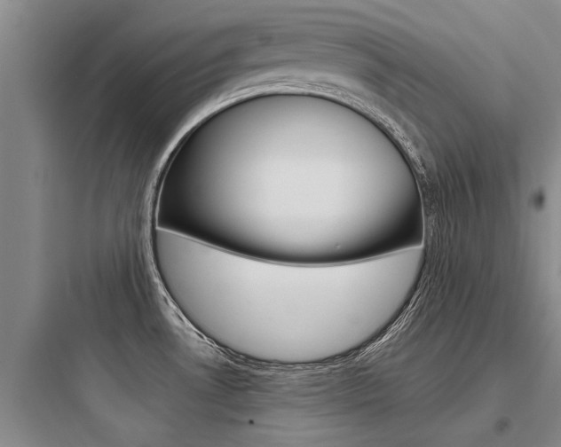 X0000097961530200803241030