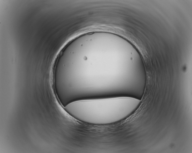 X0000097961531200803241030