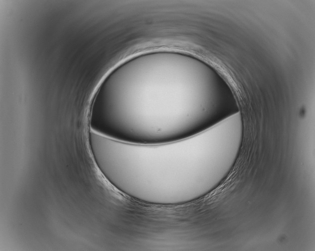X0000097961532200803241030