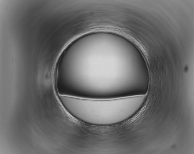 X0000097961533200803241030