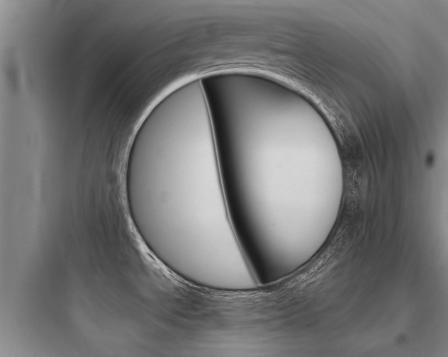 X0000097961534200803241030