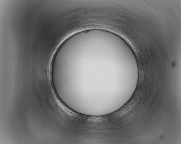 X0000097961535200803241030