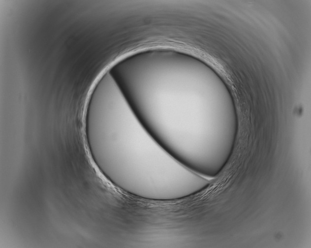 X0000097961536200803241030