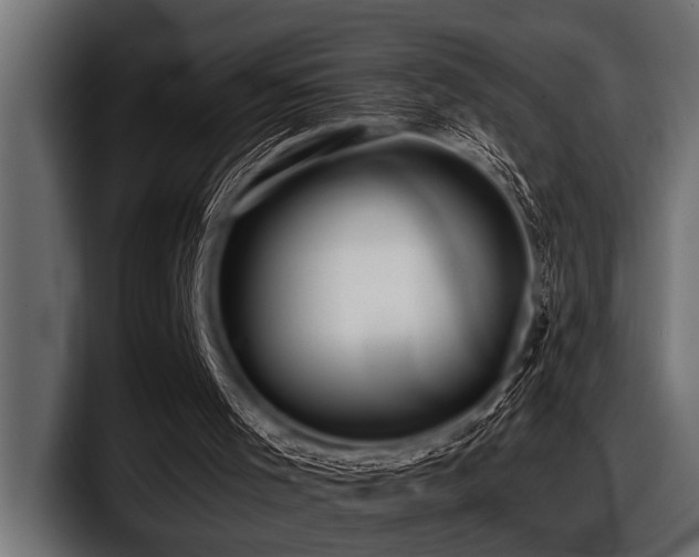 X0000097960001200803241223