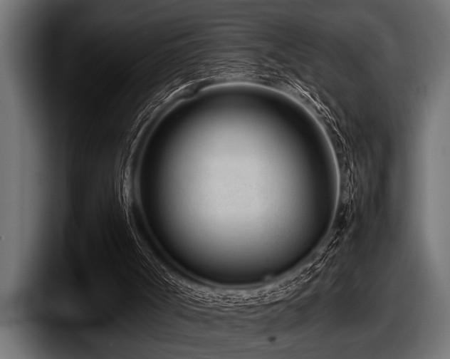 X0000097960002200803241223