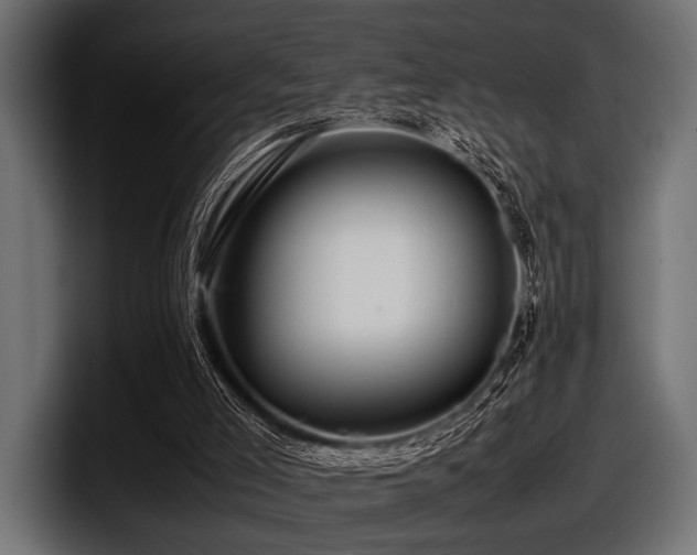 X0000097960005200803241223