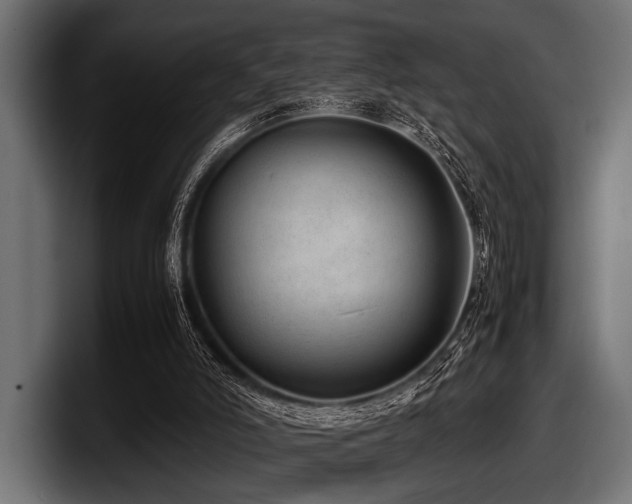 X0000097960006200803241223