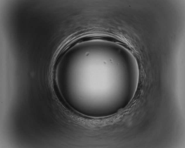 X0000097960007200803241223