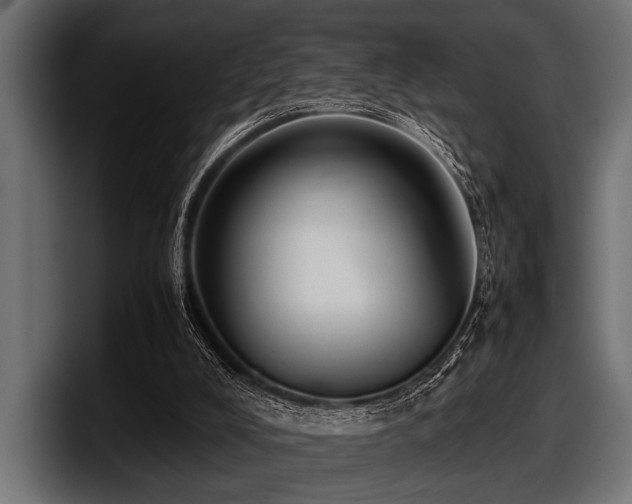 X0000097960008200803241223
