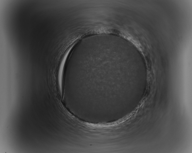 X0000097960009200803241223