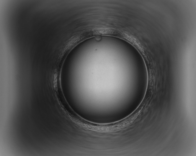 X0000097960010200803241223