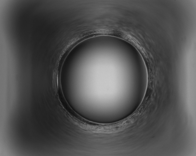 X0000097960011200803241223