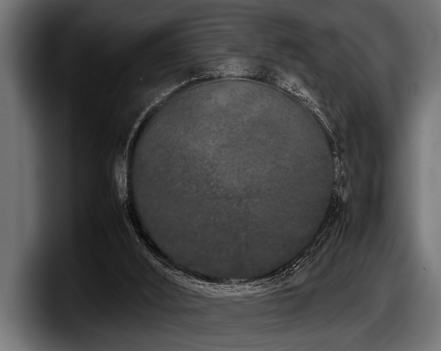 X0000097960012200803241223
