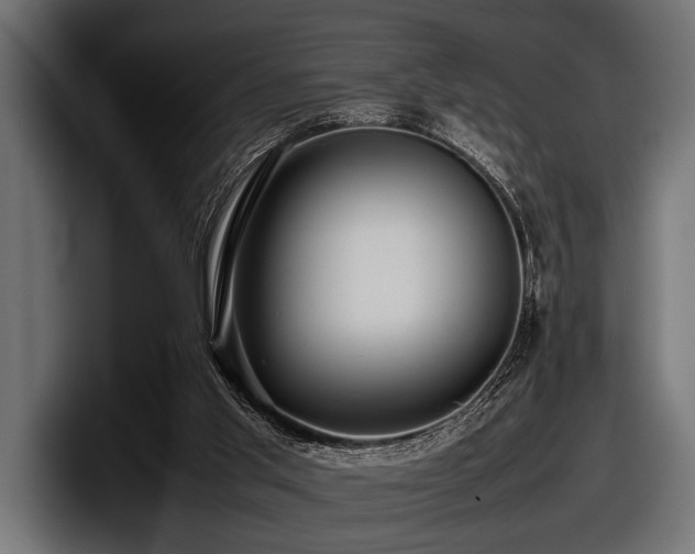 X0000097960013200803241223