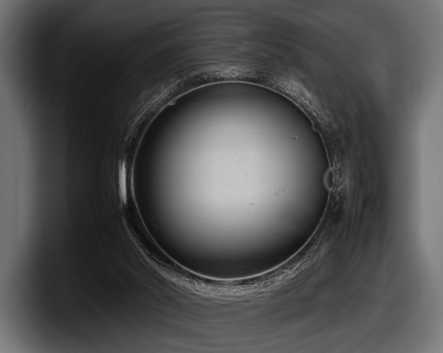 X0000097960014200803241223