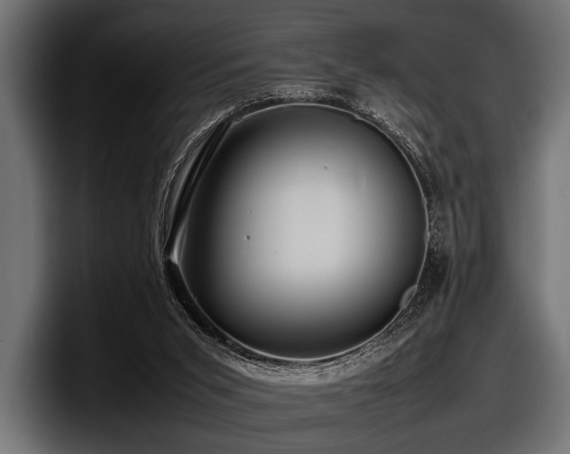 X0000097960015200803241223