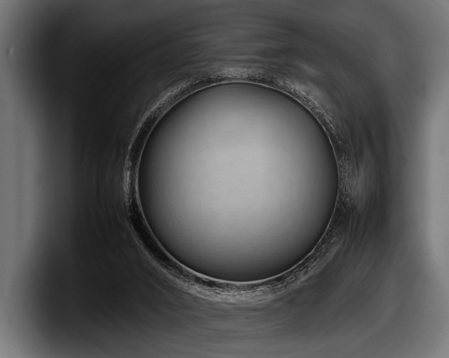 X0000097960016200803241223