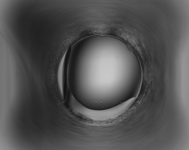 X0000097960017200803241223