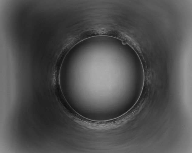 X0000097960018200803241223