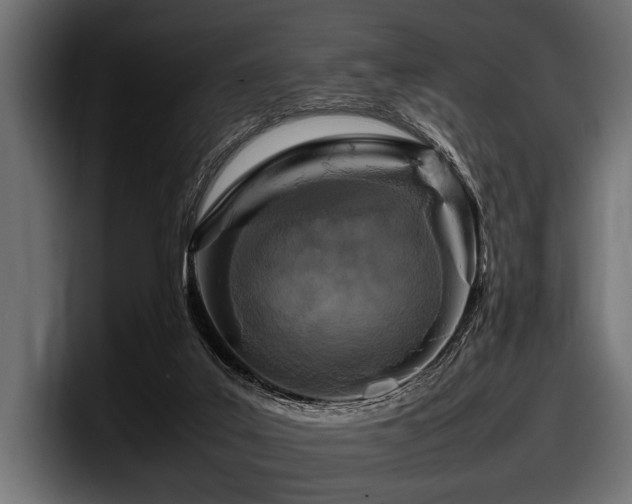 X0000097960019200803241223