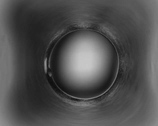 X0000097960020200803241223