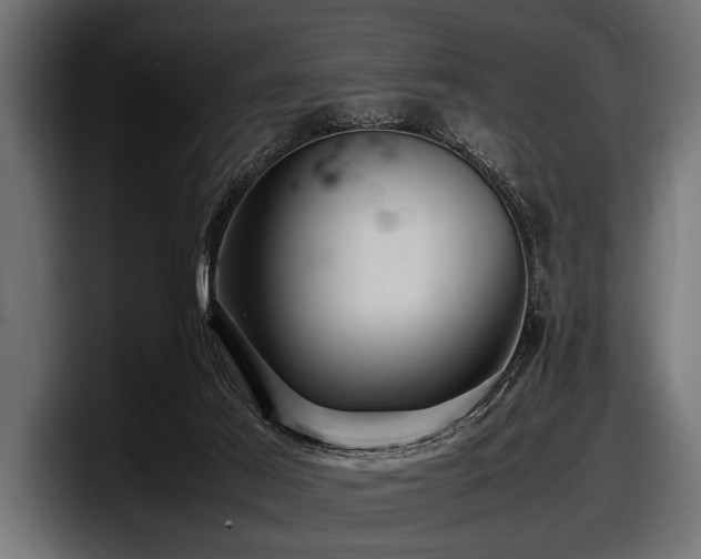 X0000097960021200803241223
