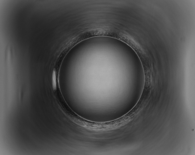 X0000097960022200803241223