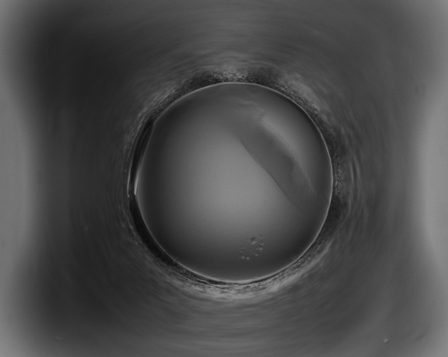 X0000097960023200803241223