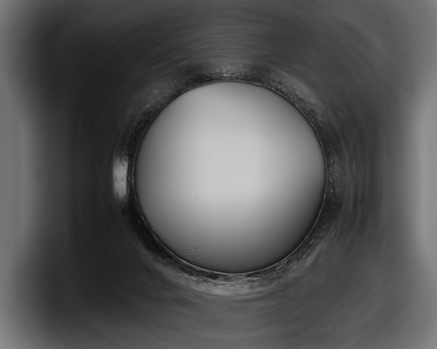 X0000097960024200803241223