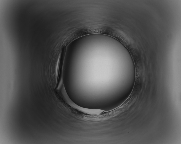 X0000097960025200803241223
