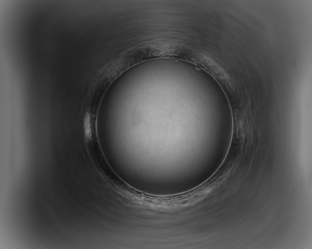 X0000097960026200803241223