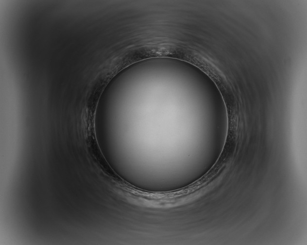 X0000097960030200803241223
