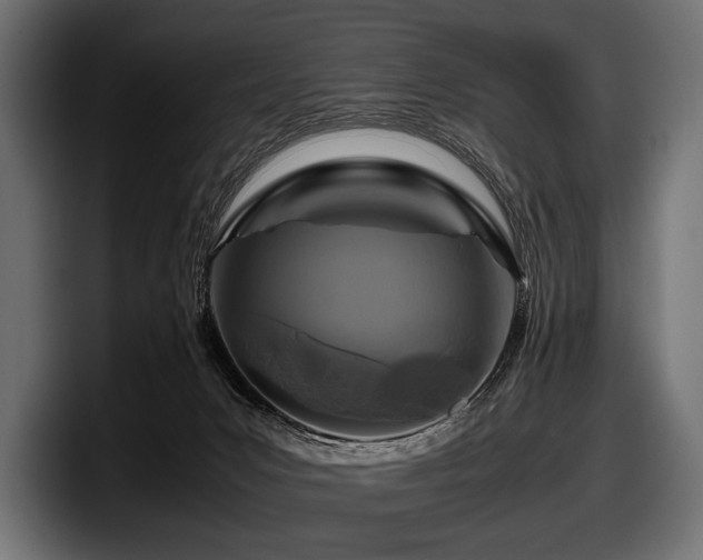 X0000097960031200803241223