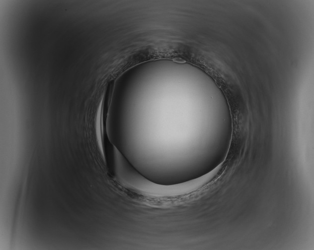 X0000097960033200803241223