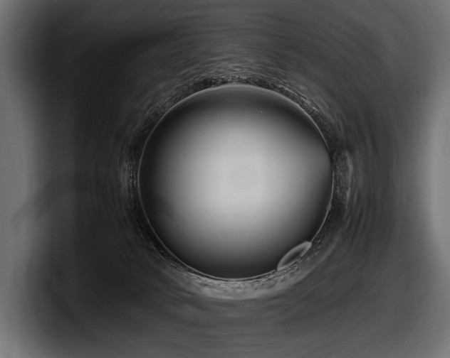 X0000097960034200803241223