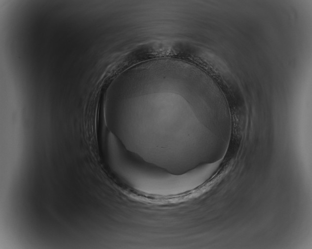 X0000097960035200803241223