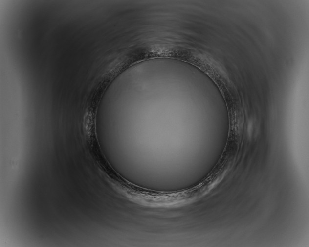 X0000097960036200803241223