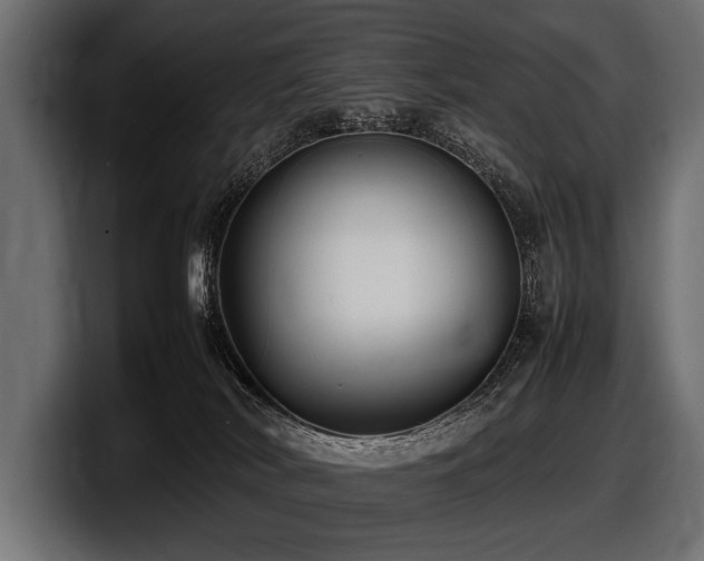 X0000097960038200803241223