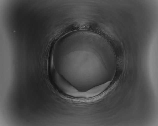 X0000097960039200803241223