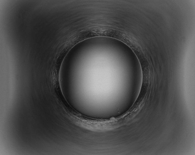 X0000097960040200803241223