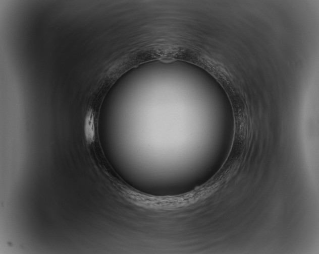 X0000097960042200803241222