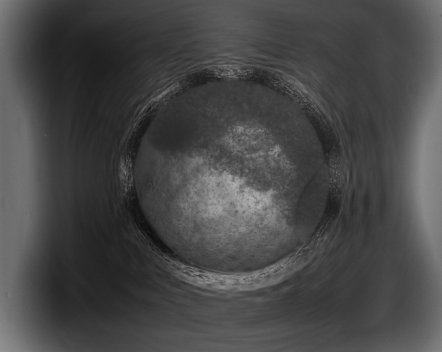 X0000097960043200803241222