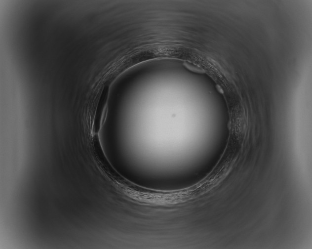 X0000097960044200803241222