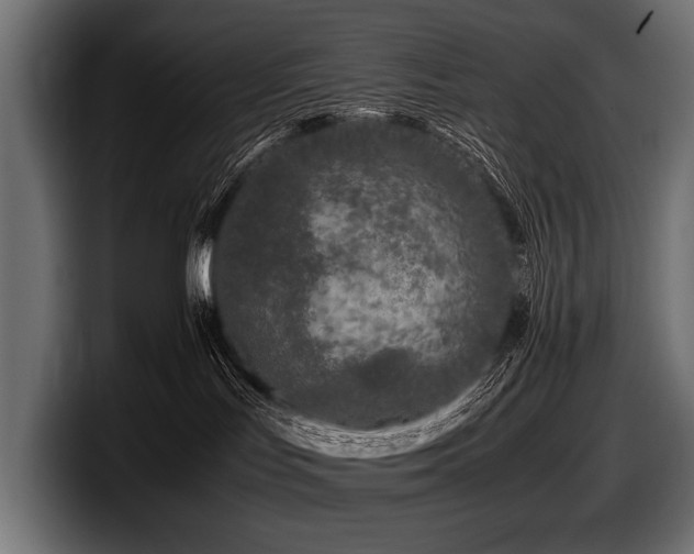 X0000097960047200803241222