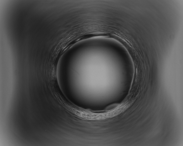 X0000097960048200803241222