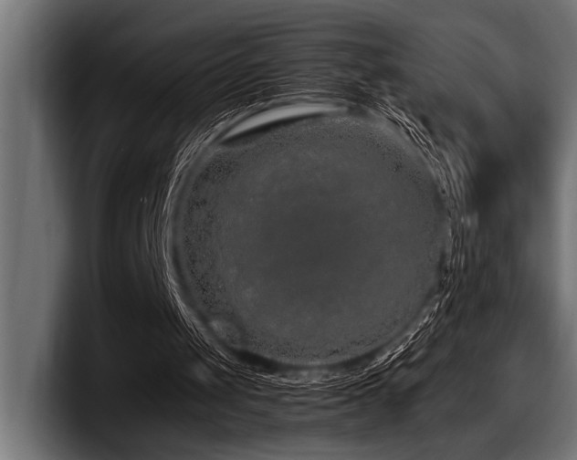 X0000097960049200803241222